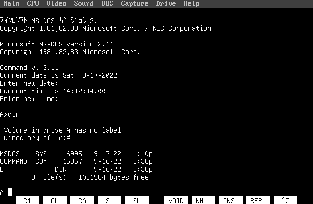 MS-DOS