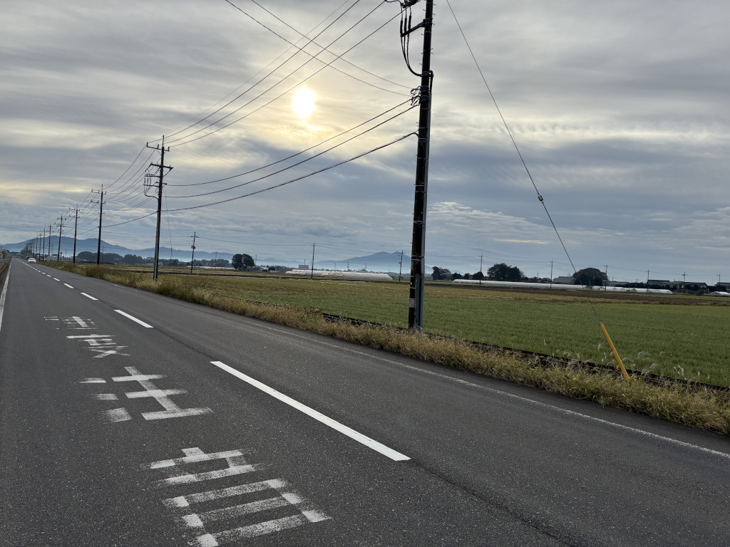 $BD+$N$b$d$,$+$+$C$?;3(B