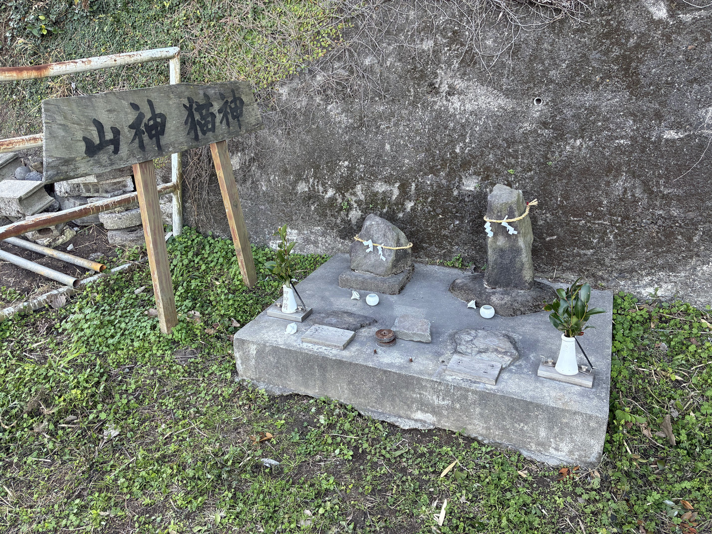 $B;3?@(B $BG-?@(B