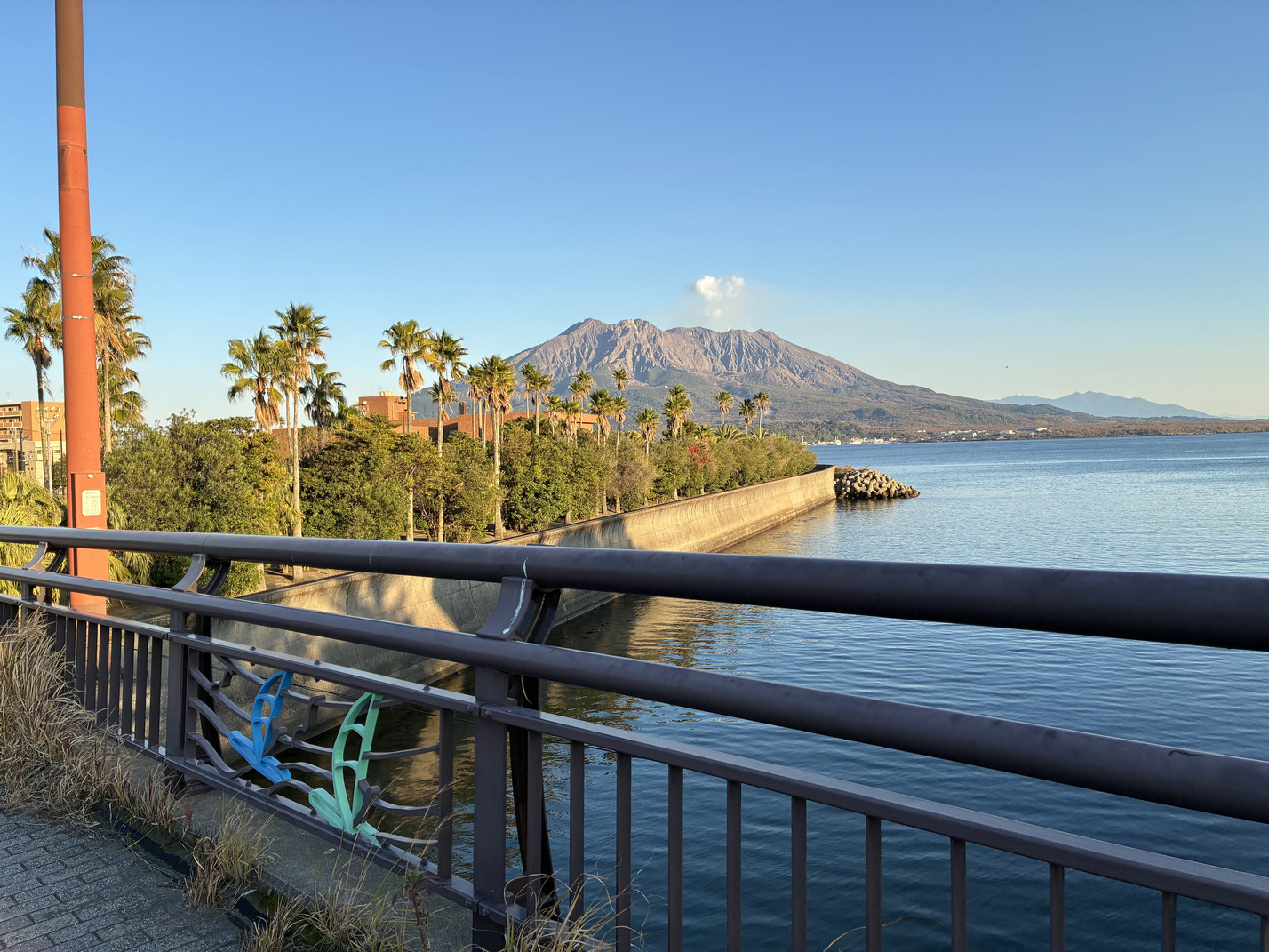 $B5@1`G7='8x1`(B+$B:yEg(B